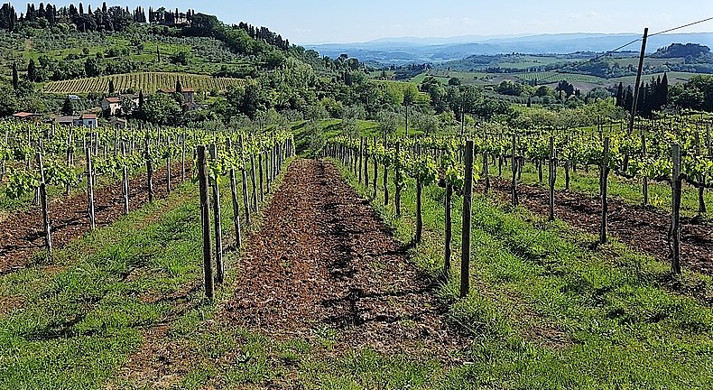 chianti